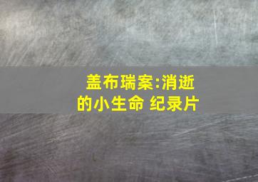 盖布瑞案:消逝的小生命 纪录片